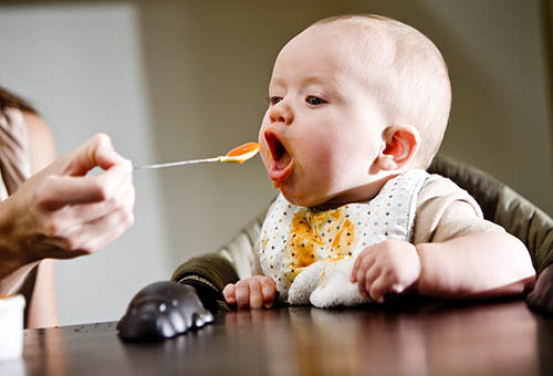 Kodujuust, keefir ja munakollane lapse toitumisalas: millal ja kuidas