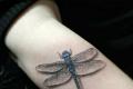 Mida tähendab Dragonfly tätoveering?