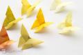 Åben lektion i origami i mellemgruppen Origami dygtige penne i den forberedende gruppe sommerfugl