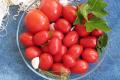 Soolatud tomatite retsept