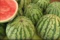 How to choose the right watermelon: tips for choosing a tasty and ripe watermelon