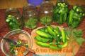 Pickled cucumbers - the best recipes for crispy cucumbers with photos and videos