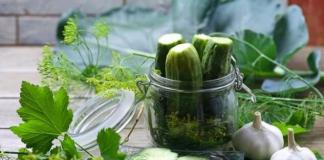 Marinades for cucumbers - recipes for 1 liter of water