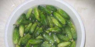 Recipes for pickling cucumbers for the winter - tasty and simple!