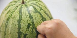 Sådan vælger du den rigtige velsmagende, modne vandmelon