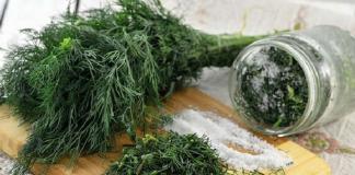 The best recipes for preparing dill for the winter, which one is best for preservation, how to preserve the aroma