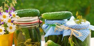 Pickled cucumbers for the winter - simple and very tasty recipes